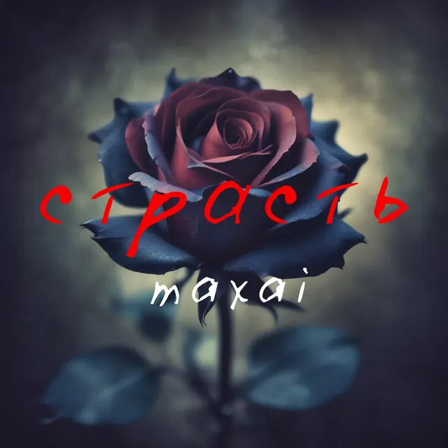 Обложка «Страсть»