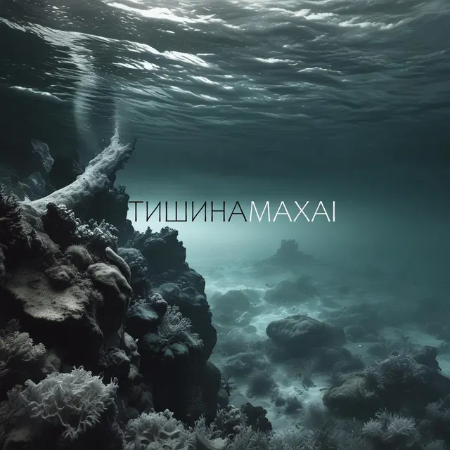 Обложка «Тишина»