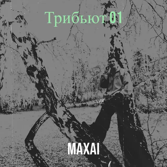 Обложка «Трибьют 01»
