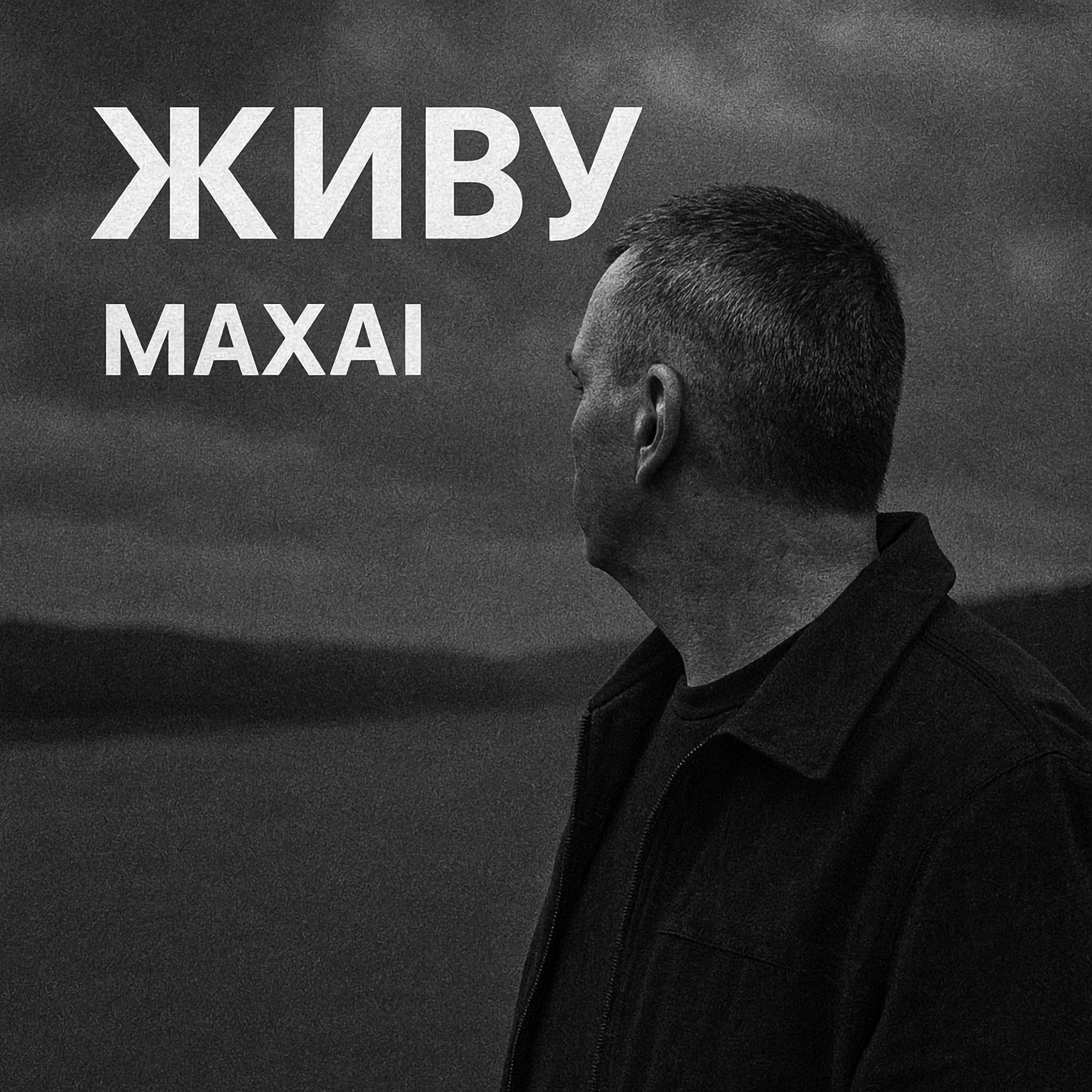 Обложка трека Живу